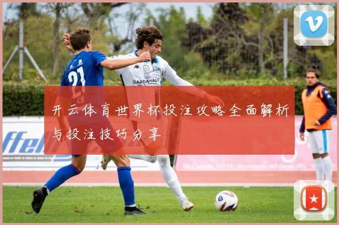 开云体育世界杯投注攻略全面解析与投注技巧分享