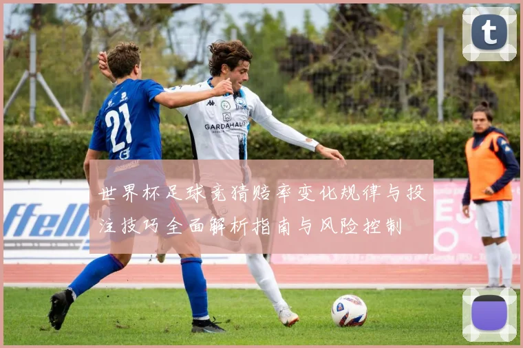 世界杯足球竞猜赔率变化规律与投注技巧全面解析指南与风险控制