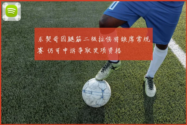 东契奇因腿筋二级拉伤将缺席常规赛 仍可申诉争取奖项资格