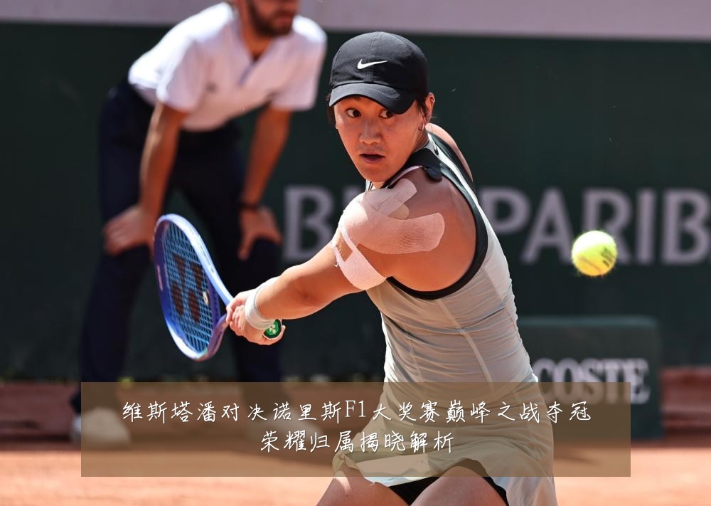维斯塔潘对决诺里斯F1大奖赛巅峰之战夺冠荣耀归属揭晓解析