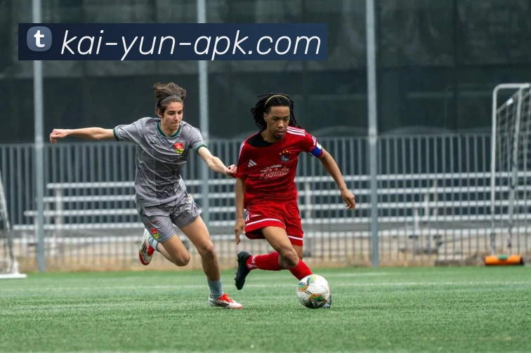 开云官网全站App